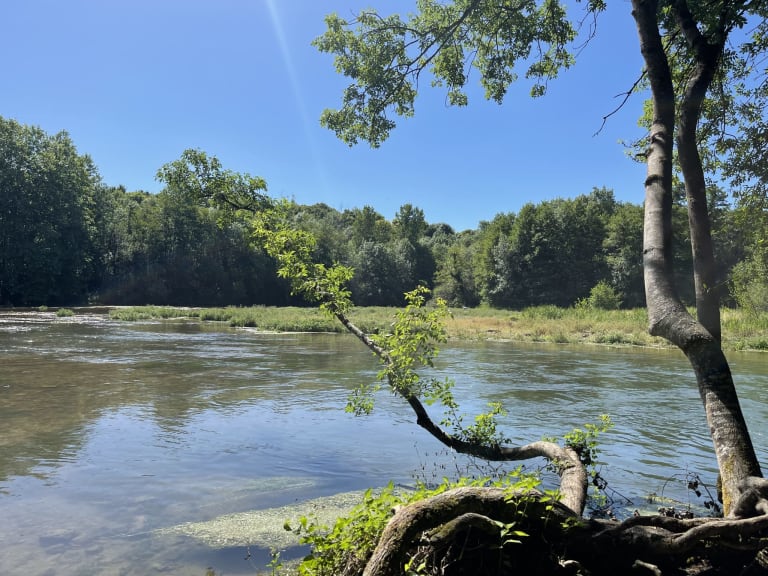 La Touvre au bord du domaine